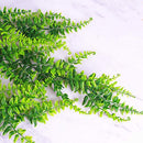 Artificial Plants Faux Hanging Plant Fake Boston Ferns Vines Plastic Artificial Hanging Plants for Homes Decoration (2 PCS)