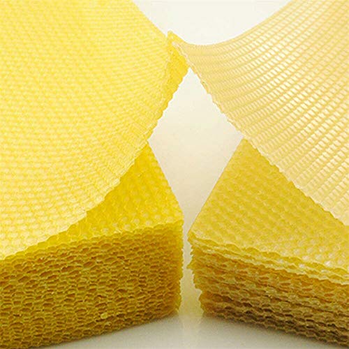 Honeycomb Foundation Sheet Wax Frames Beekeeping Honey Bee Hive Equipment 30PCS