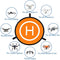 MMOBIEL Universal Drone Landing Pad Waterproof Helipad 75 cm / 30 inch Double Sided Orange / Blue for RC Drones Helicopter DJI Mavic Mini 2 / Zoom / Air Fly 2 / Phantom / FPV / Inspire Incl. Reflective Tape and Pins