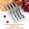 Mudder 4 Pieces Corer and Pitter Multi-Function Fruit Corer and Pitter Remover Set Stainless Steel Pear Corer Pitter 4 Sizes for Home Kitchen, Pear, Cherry, Jujube and Red Date