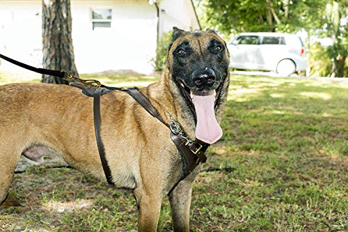  Viper Biothane K9 Working Dog Leash Waterproof Lead For  Tracking Training Schutzhund Odor-Proof Long Line