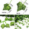 84 FT Artificial Ivy 12 Pack Ivy Vine Garland Ivy Leaves Greenery Garlands Hanging with 100 LED String Light Fake Leaf Plants Faux Green Flowers Decor for Home Kitchen Garden Office Wedding Wall