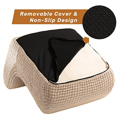ALIMORDEN Accent Bean Bag Couch, Soft Plush Lounge Chair Lazy Leisure Sofa for Living Room, Bedroom, Salon, Office, Champagne