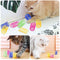 Bighan 22PCS Cat Interactive Toys, Cat Spiral Spring Cat Tube Spring Toy Interactive Cat Toy for Indoor Cats Plastic Spring Coils for Swatting, Biting, Hunting Kitten Toys