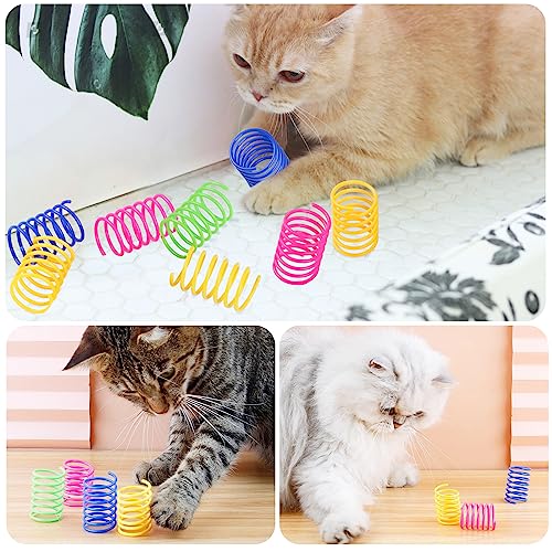 Bighan 22PCS Cat Interactive Toys, Cat Spiral Spring Cat Tube Spring Toy Interactive Cat Toy for Indoor Cats Plastic Spring Coils for Swatting, Biting, Hunting Kitten Toys