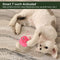 3 Pcs Fluffy Plush Cat Toy Squeaky Balls with Catnip, Newest 3 Lifelike Chirping Balls Animal Sounds-Bird Frog and Cricket, Interactive Fun Cat Toy for Indoor Kittens Exercise Hunting