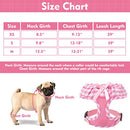 EXPAWLORER Small Dog Harness and Leash Set Girl - Cute Dog Harness for Female Dogs, Soft Mesh Breathable Vest Harness with Lovely Ribbon for Puppies, Adjustable Step-in Dog Harness for Walking