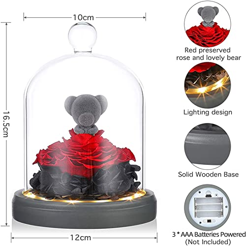 Glass Preserved Real Eternal Rose, Birthday for Her Gifts Women Artificial Rose with DIY Led Light, Beauty and The Beast Dome, Mother's Day Valentine's Mom Gift from Daughter, TOJUNE (Teddy Bear)