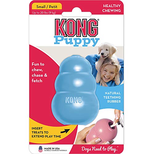 KONG - Puppy Toy - Natural Teething Rubber - Fun to Chew, Chase and Fetch (Colour May Vary) - for Small Puppies