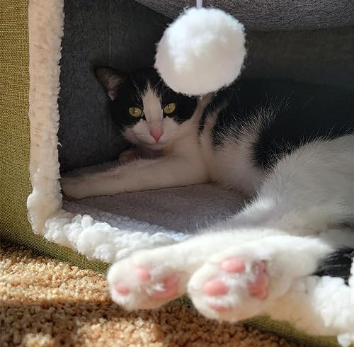 Mofish Cat Beds for Indoor Cats House,Large Pet Cat Cube House Foldable with Ball Hanging and Scratch Pad,Soft and Self Warming Cat Cando Cave & Furniture,Kitten Shelter with Warm Plush Bed (Grey)
