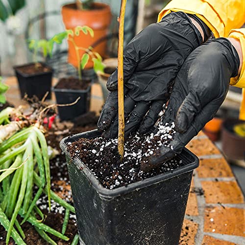 Packware Nitrile Disposable Black Gloves - Latex & Powder Free Work Gloves - Non-Sterile Natural Rubber Gloves for Medical Use, Sensitive Skin, Cleaning and General Use - 100pcs (Large) Black