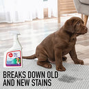 Hoover Paws & Claws Stain Remover Spray, Easy Removal of Tough Soils, Eliminate Stubborn Pet Stains, 0.75 Litre