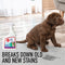 Hoover Paws & Claws Stain Remover Spray, Easy Removal of Tough Soils, Eliminate Stubborn Pet Stains, 0.75 Litre