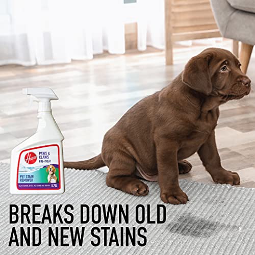 Hoover Paws & Claws Stain Remover Spray, Easy Removal of Tough Soils, Eliminate Stubborn Pet Stains, 0.75 Litre