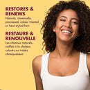 Shea Moisture Jamaican Black Castor Oil Strengthen and Restore Shampoo, 384 ml