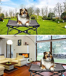 KingCamp Stable Portable Raised Dog Bed Pet Cot Folding Cooling Elevated Bed for Dogs Mesh Travel Outdoor Camping Dog Bed with Washable Pad for Medium Dogs and All Pets Supplies Weight Up to 40 lbs