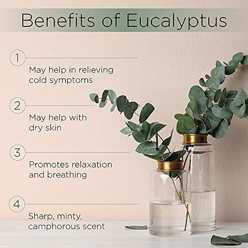 Radha Beauty Eucalyptus Essential Oil 4 oz - 100% Pure & Therapeutic Grade