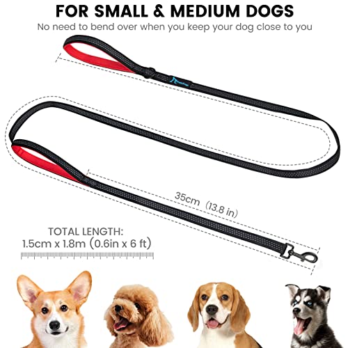 PuppyDoggy Dog Leash for Small to Medium Dogs 6 ft with 3 Reflective Stitching and 2 Traffic Padded Handles Dog Lead/Rope, Pet Leash for Running Walking Training (Red 1 Pack)