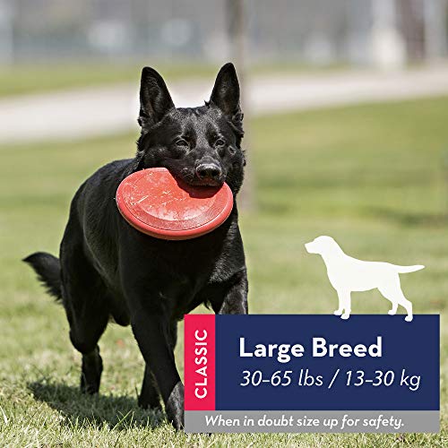 KONG - Flyer - Durable Rubber Flying Disc Dog Toy - for Large Dogs