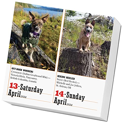 365 Dogs Page-A-Day Calendar 2024: The World's Favorite Dog Calendar