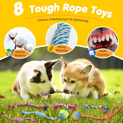 Zeaxuie 20 Pack Luxury Dog Chew Toys for Puppy, Cute Small Dog Toys with Ropes Puppy Chew Toys, Treat Ball and Squeaky Puppy Toys for Teething