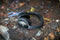 Bose QuietComfort 35 wireless headphones black