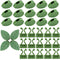 Mornajina 120PCS Plant Climbing Wall Fixture Clips Set, Including 60PCS Self-Adhesive Leaves Plant Clips for Climbing Plants, 60PCS Invisible Plant Vine Wall Clips for Indoor Outdoor Decoration