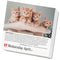 365 Cats Page-A-Day Calendar 2024: The World's Favorite Cat Calendar