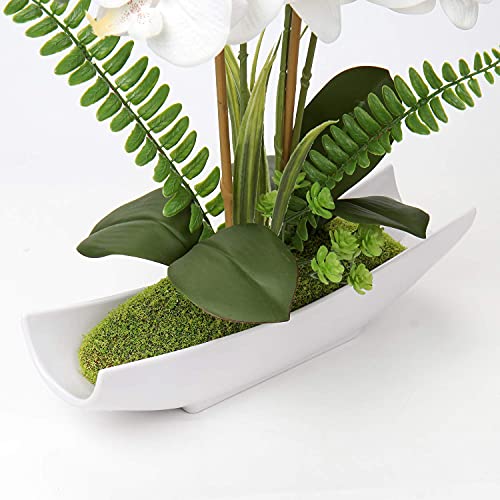 Briful White Orchid Artificial Flowers in Ceramic Pot Fake Orchid White Silk Phalaenopsis Flower Arrangement Artificial Orchid Plant Indoor for Home Office Kitchen Bedroom Wedding Decor