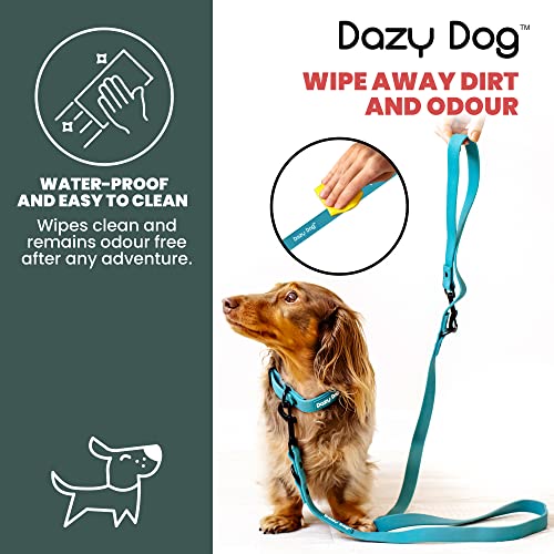 Dazy Dog Waterproof Dog Leash - Adjustable TPU Dog Lead with Reinforced Stitching - Durable Long Dog Lead for Small, Medium and Large Dogs. Long Leash Great for Training (Small/Medium, Teal)