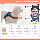 Zenify Pets Dog Harness - Chest Control Grab Adjustable Reflective for Large Dogs (Blue, Large)…