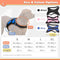 Zenify Pets Dog Harness - Chest Control Grab Adjustable Reflective for Large Dogs (Blue, Large)…