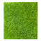 TOYANDONA 2pcs Artificial Grass Turf Fake Moss Rug Mats 30cmx30cm Mini Lawn Carpet for Dollhouse Fairy Garden Ornament