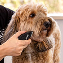 Wahl Home Pet Grooming Combo