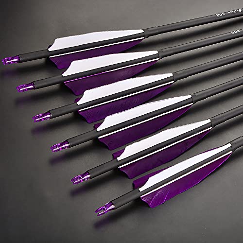 ZSHJGJR 30 Inch Archery Carbon Arrows Hunting Arrows with 4” Turkey Feather Targeting Practice Arrows Spine 500 for Compound & Recurve & Traditional Bow 6/12pcs (12 x Purple Arrows)