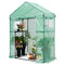 ABCCANOPY Walk-in Greenhouse, Indoor Outdoor with 2 Tier 4 Shelves Portable Plant Gardening Greenhouse (Green PE Cover)