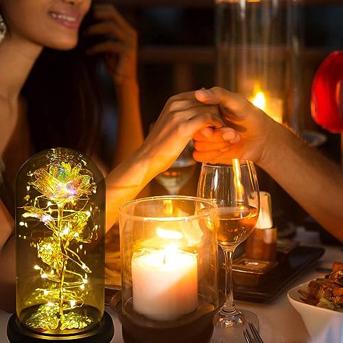 Glass Preserved Eternal Rose, Birthday Gifts for Her Women Gold Foil Artificial Rose with DIY Led Light, Beauty and The Beast Dome, Mother's Day Valentine's Mom Gift from Daughter, TOJUNE (Colorful)
