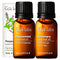 Gya Labs Rosemary Essential Oil & Peppermint Essential Oil (10ml) - Warm, Woodsy Scent - Pack of 2