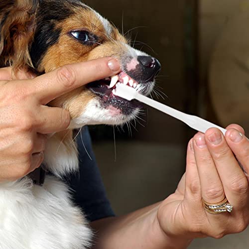 Kitten Toothbrush | Pet 360 Degree Oral All Round Cleaning Supplies,Household Dogs Toothbrush for Bad Breath, Small Animals Teeth Cleaning for Mouth