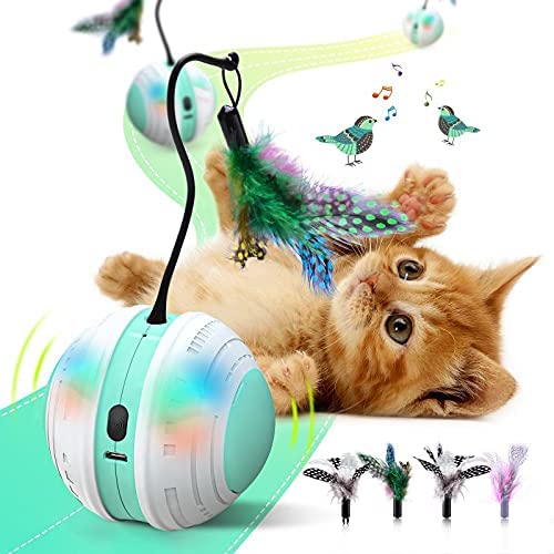 Beedove Interactive Cat Toys, 360 Degree Self Rotating Feather Robotic Cat Ball, USB Rechargeable Electric Kitten Toys with LED Lights and Funny Bird Sound for Indoor Cats/Pets