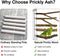HUIRUMM Bird Perch Stand,5 PCS Wood Perch Platform Stand Bird Cage Accessories,Bird Parrot Perch Stand Set,Bird Parrot Perches Bird Cage Branch for Parakeets Cockatiels Macaws Finches Love Birds
