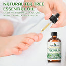 EVOKE OCCU Tea Tree Essential Oil 4 Oz, Pure Tea Tree Oil for Diffuser Skin Hair Body Nail Care- 4 FL Oz