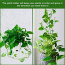 100 Pcs Plant Fixture Clips, with 120 Pieces Acrylic Adhesive Sticker Climbing Wall Fixture Clips Fixer Invisible Wall Self-Adhesive Hook Plant Vine Traction for Decoration Garden Wall Clip