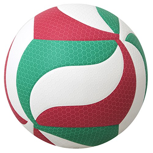 V5M5000 Premium Competition Volleyball