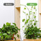 POATOW Plant Climbing Wall Fixture Clips 60 Pcs,Garden Vegetable Plant Support Binding Clip Invisible Wall Vines, Self-Adhesive Clips Plant Vine Traction for Indoor Outdoor Decoration