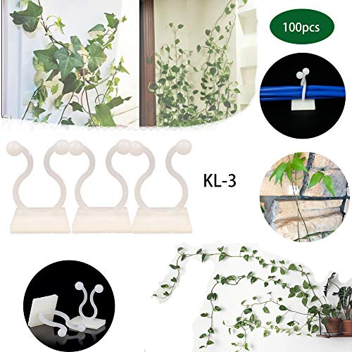 Plant Climbing Wall Fixture Clips Garden Vegetable Plant Support Binding Clip Invisible Wall Vines Fixture Wall Sticky Hook Vines Self-Adhesive Hook Clip Vines Holder for Home Decoration KL-3-100pcs