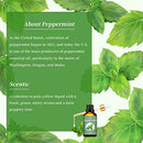 Peppermint Essential Oil 100% Pure and Natural Organic Peppermint Essential Oil for Diffuser & Aromatherapy 100ML/3.38 oz