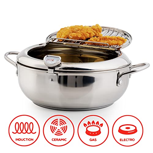 Deep Fryer Pot (°F) - Stylish Tempura Fryer - Small Japanese Style 114oz Stainless Steel Deep Frying Pot With Lid & Oil Drip Drainer Rack and Detachable Fahrenheit Temperature Control - Size: 9.8 Inches