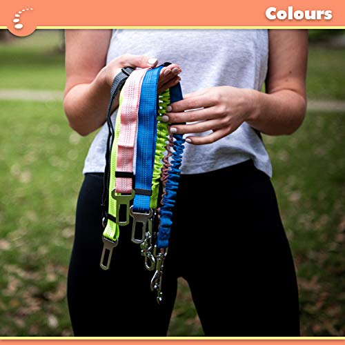 Zenify Dog Car Seat Belt Extendable Lead (2 Pack) - Bungee Leash for Dogs Puppies - Pet Adjustable Elastic Seatbelt Harness Vehicle Safety Birthday Road Trip Gift Idea (Black)