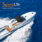 SereneLife Waterproof Boat Bimini Top Cover - 79-84" W 3 Bow Bimini Top Sun Shade Boat Canopy - 1" Double Wall Aluminum Frame Tubes, 2 Front Straps, 2 Rear Support Poles, Storage Boot SLBTW84G, Gray